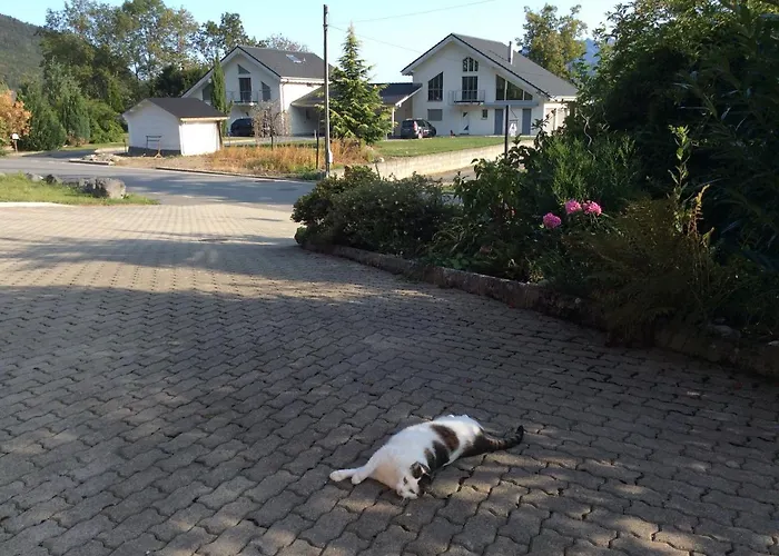 La Bergerie - Alice 3* Choex