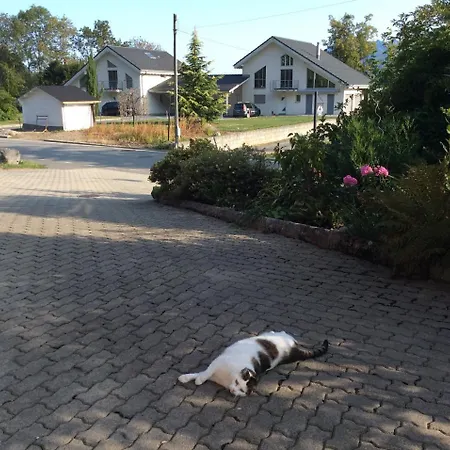 La Bergerie - Alice 3* Choex